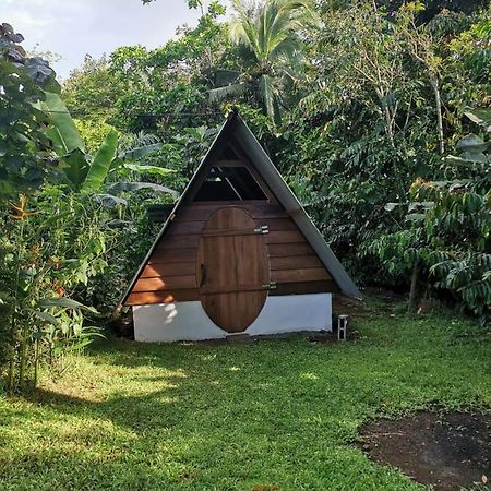 Cabana Chalet Cariari  Bagian luar foto